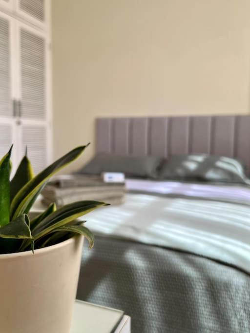 Apartamento Bem Localizado Com Garagem *